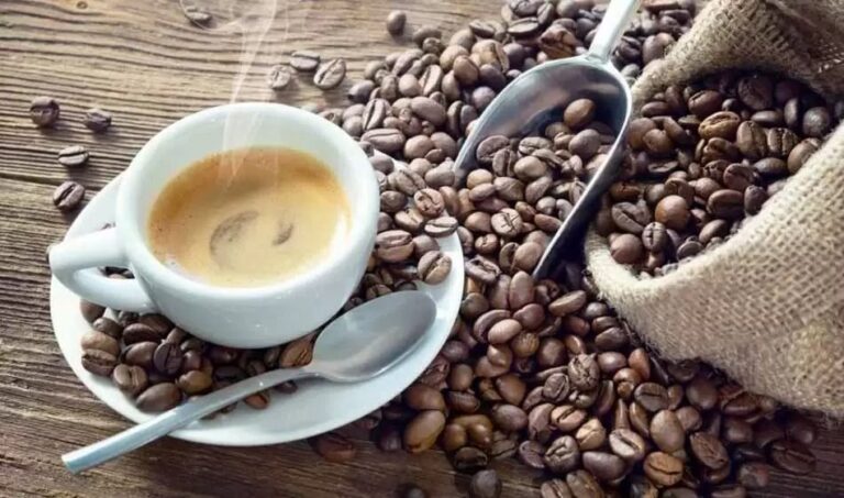 por-primera-vez-la-argentina-iniciara-la-produccion-de-cafe-1933668